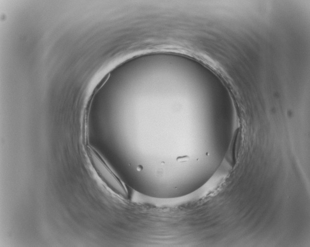 X0000052551520200507291903