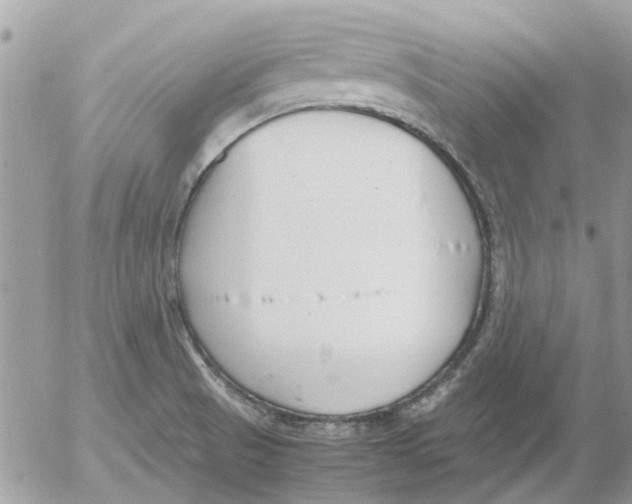 X0000052551521200507291903