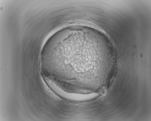 X0000052551522200507291903