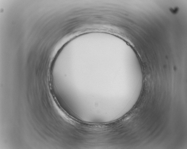 X0000052551523200507291903