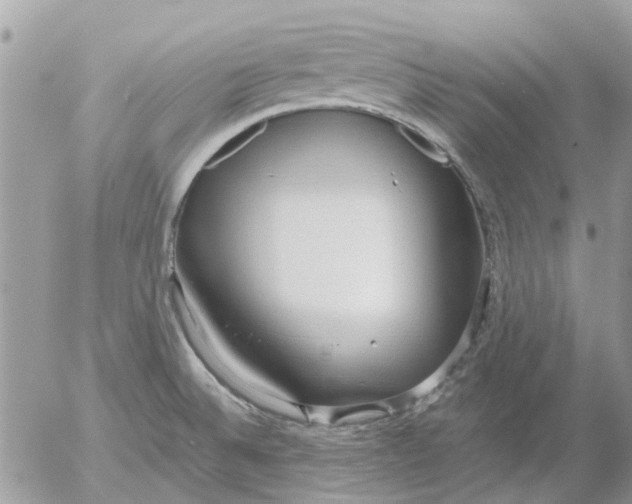 X0000052551524200507291903