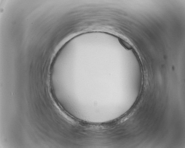 X0000052551525200507291903