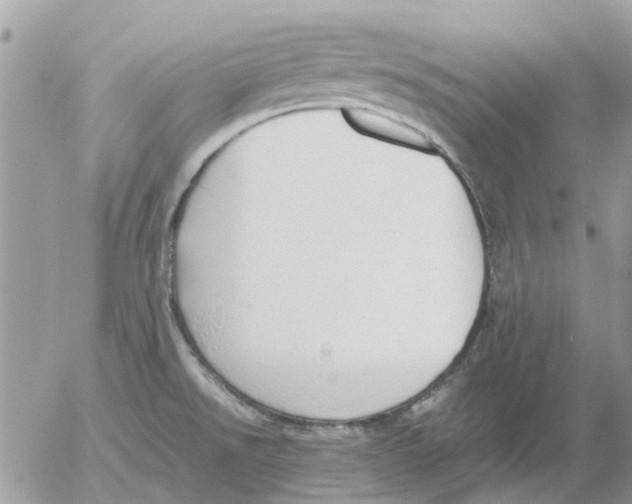 X0000052551526200507291903