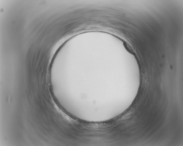 X0000052551527200507291903