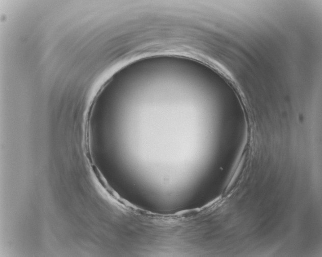 X0000052551528200507291903