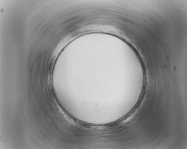 X0000052551529200507291903