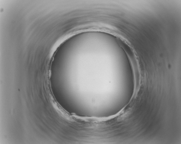 X0000052551530200507291903