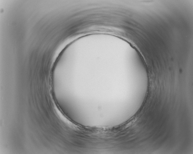 X0000052551531200507291903