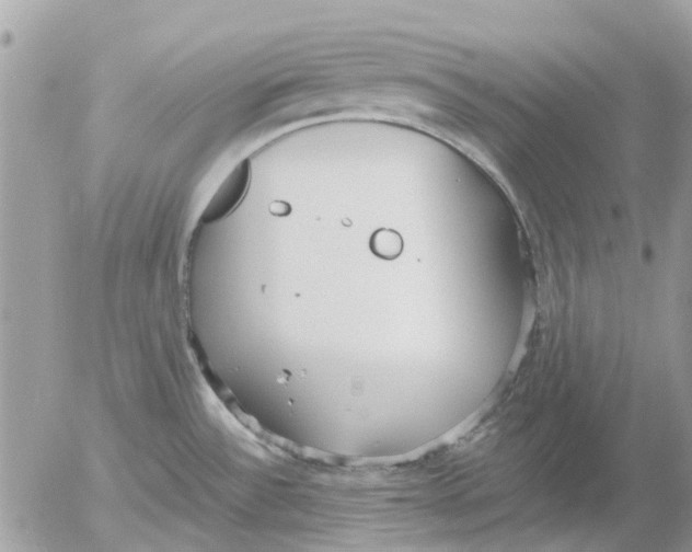 X0000052551532200507291903