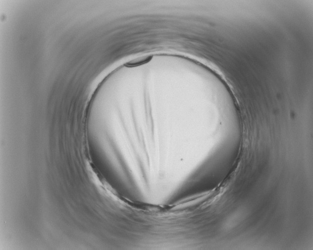 X0000052551534200507291903