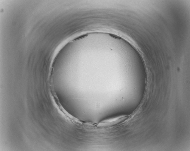 X0000052551536200507291903