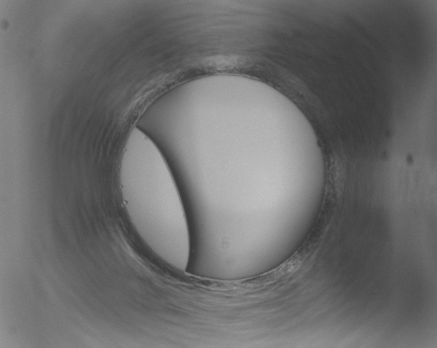 X0000052560024200507010831