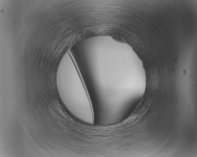 X0000052560044200507010830