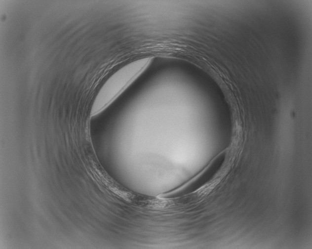 X0000052560096200507010830