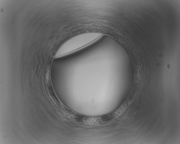 X0000052560129200507010829