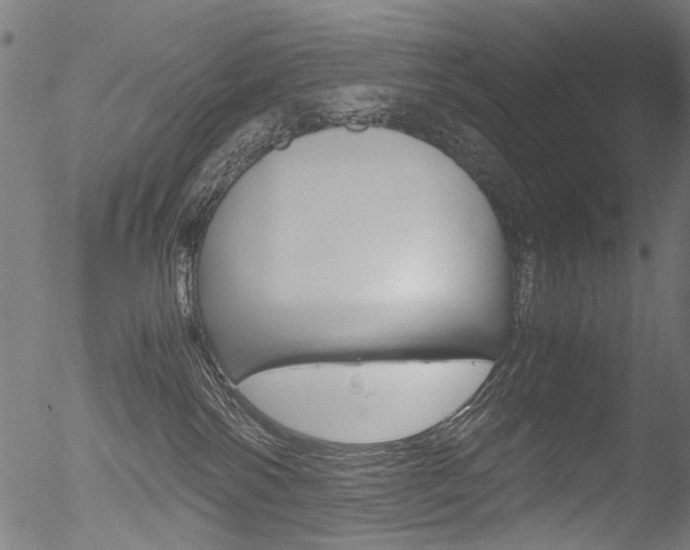 X0000052560138200507010829