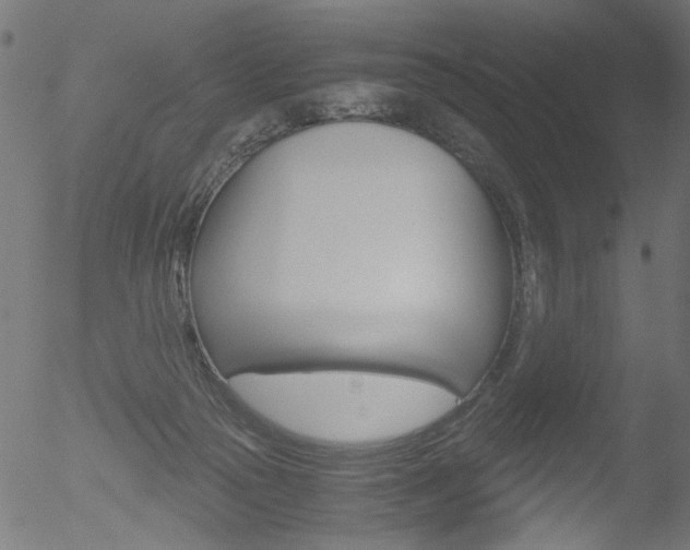 X0000052560169200507010828