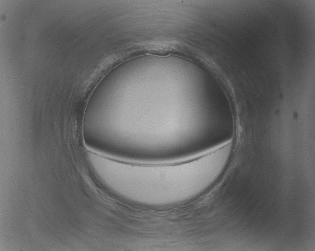 X0000052560201200507010828