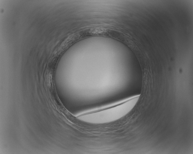 X0000052560227200507010827
