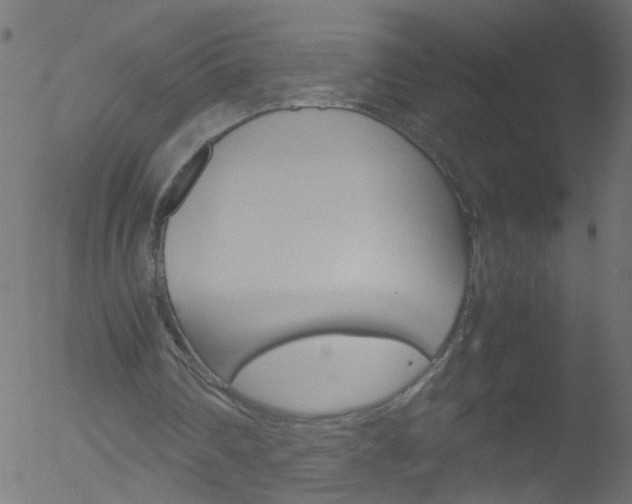 X0000052560290200507010826