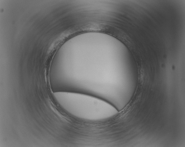 X0000052560302200507010826