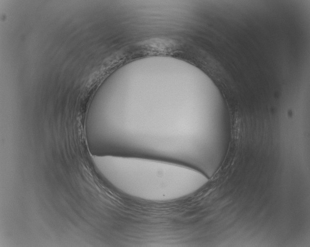 X0000052560318200507010826