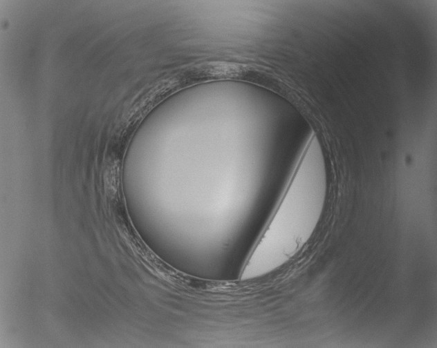 X0000052560325200507010826