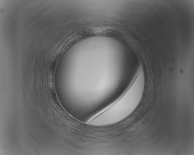 X0000052560421200507010824