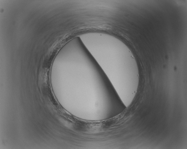 X0000052560495200507010823
