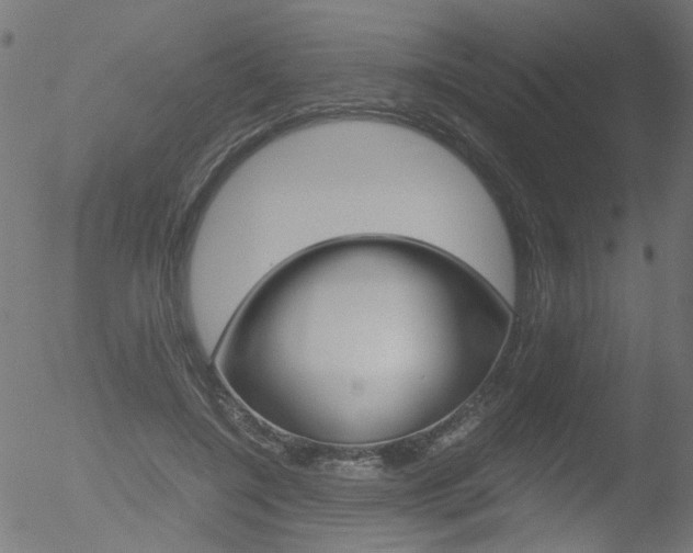 X0000052560548200507010822