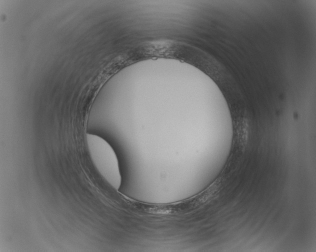 X0000052560602200507010821