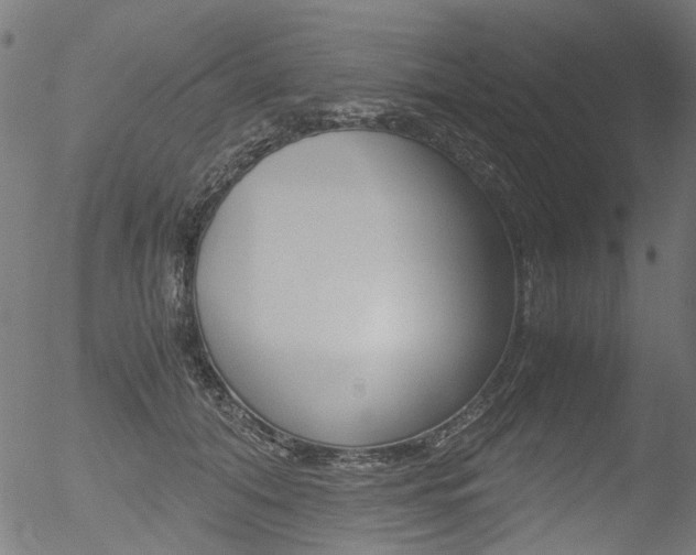 X0000052560608200507010821