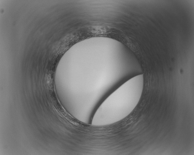 X0000052560614200507010821