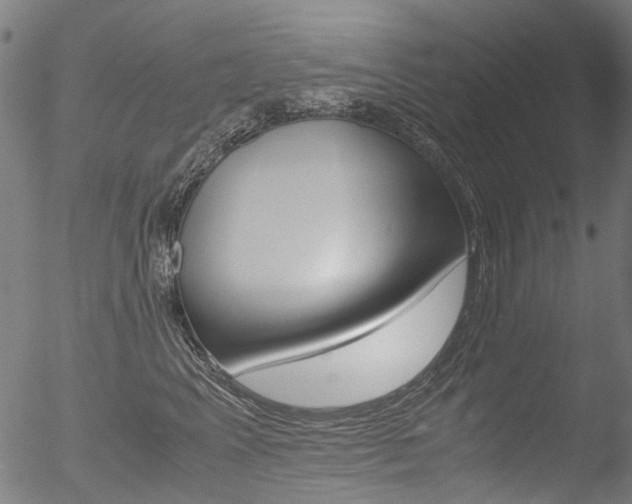 X0000052560617200507010821