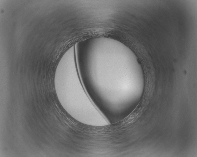 X0000052560624200507010821