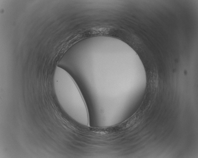 X0000052560649200507010821