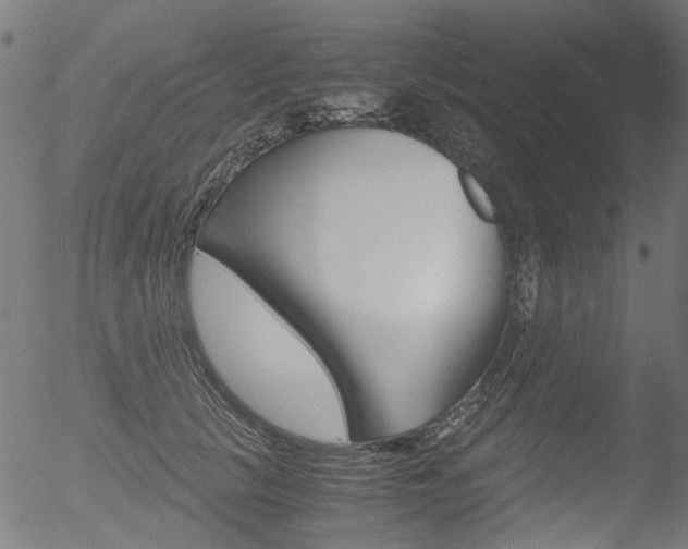 X0000052560657200507010821