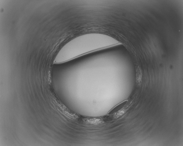 X0000052560669200507010821