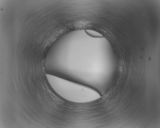 X0000052560670200507010821
