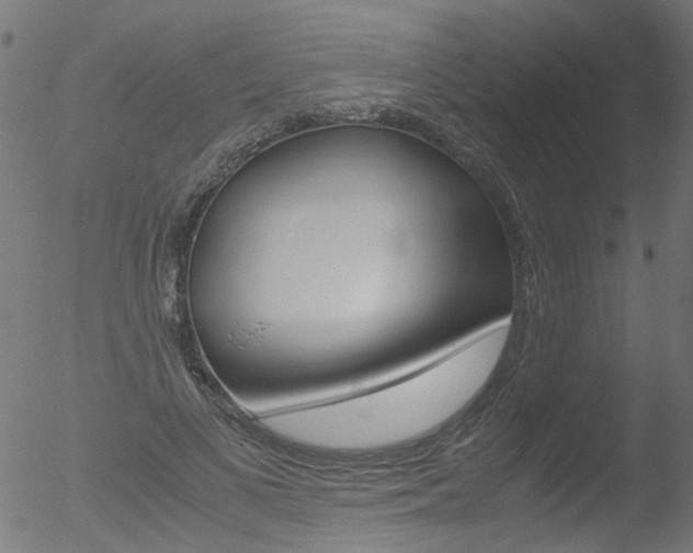 X0000052560693200507010820