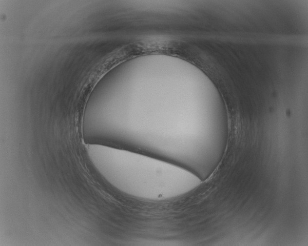 X0000052560737200507010819