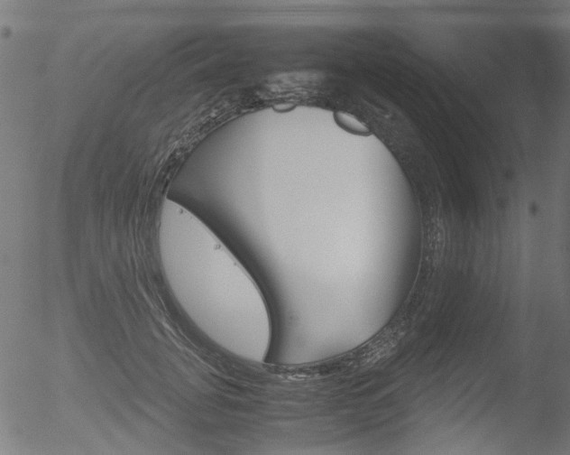 X0000052560751200507010819