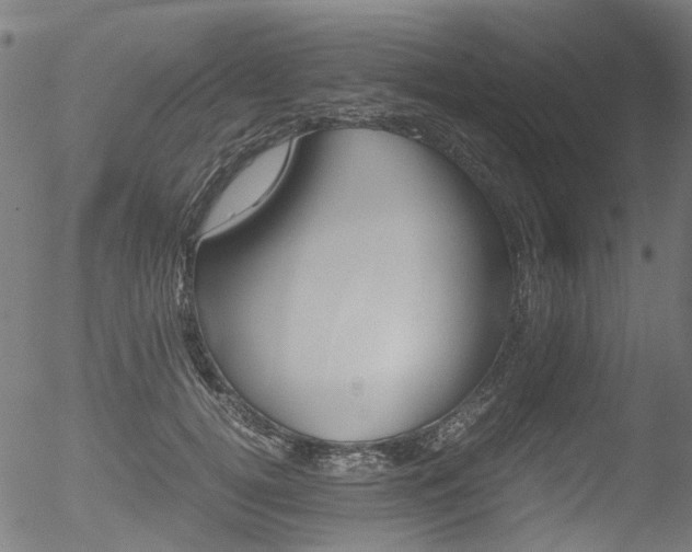 X0000052560752200507010819