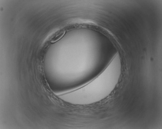 X0000052560775200507010818