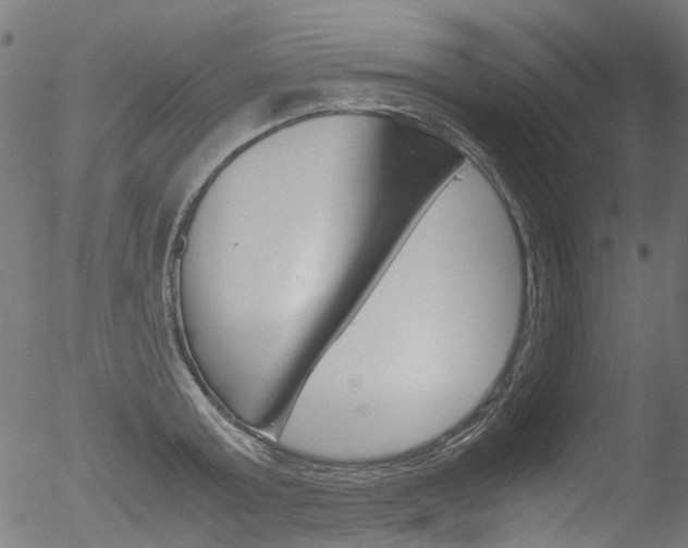 X0000052560803200507010818