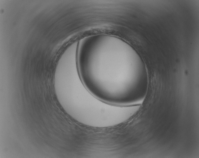 X0000052560822200507010817