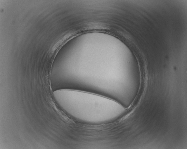 X0000052560833200507010817