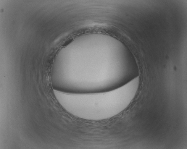 X0000052560869200507010817