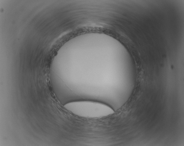 X0000052560870200507010817