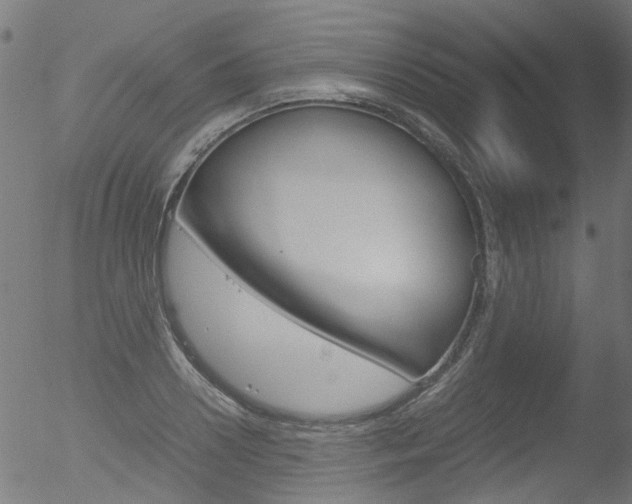 X0000052560938200507010816